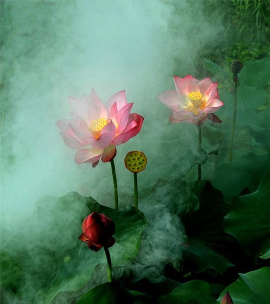 摄影部落中国龙作品