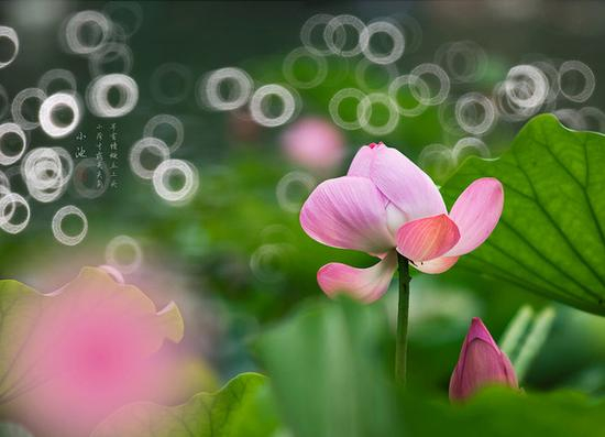 摄影部落韩信点兵作品