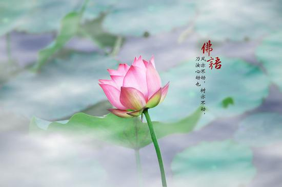 摄影部落qz36160129作品