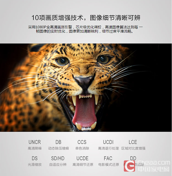 　　10项画质增强技术 图像细节清晰可见