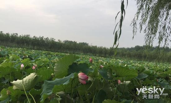 为政商界打造的大屏手机 金立M6 Plus评测