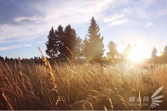 这样学摄影才更有效，全面系统的摄影学习框架！