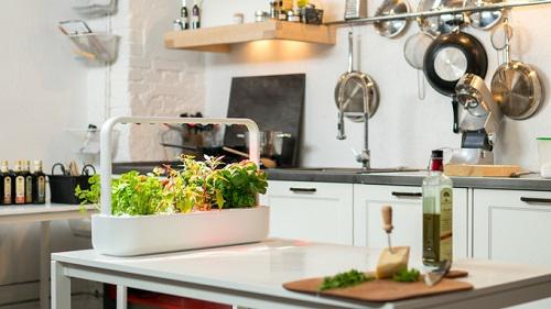 Click & Grow智能菜园