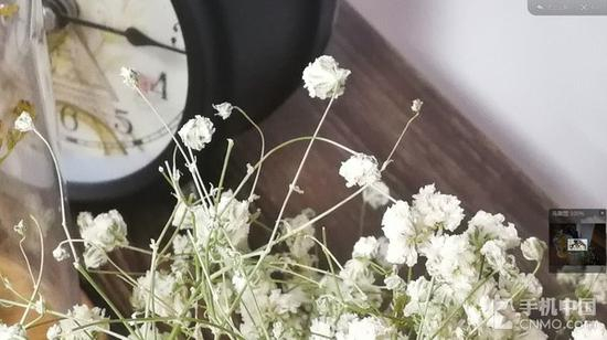 鲜艳模式样张放大