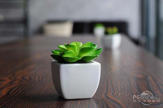 鲜艳模式讨好眼球