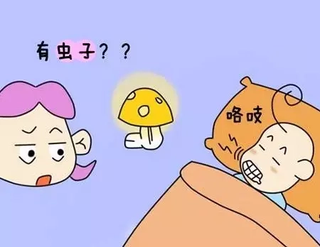 图片来自网络