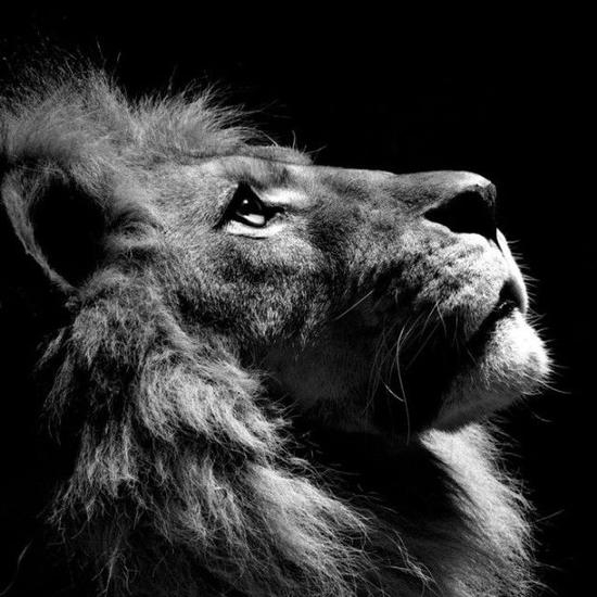 媒体专栏作者孟永辉