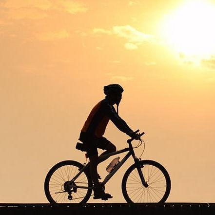 上海市自行车行业协会的秘书长郭建荣