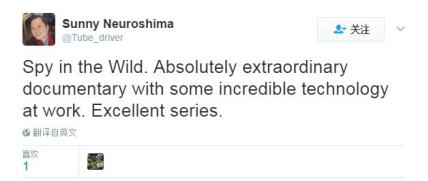 　　网友Sunny Neuroshima：