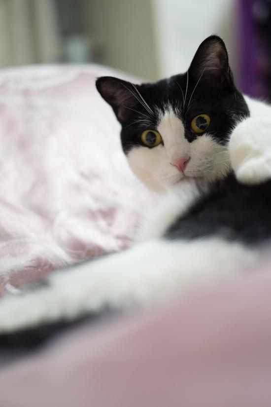 光圈：F1.4 快门：1/32 sec ISO：400