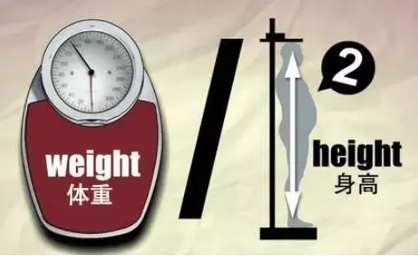 （配图来自于网络）