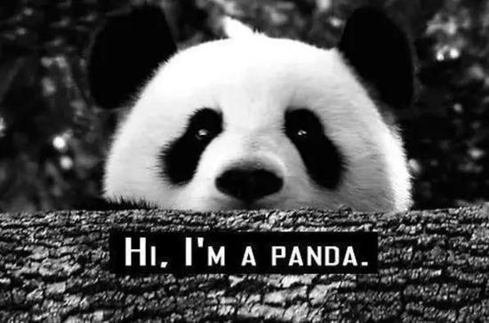 图片来源：weheartit.com