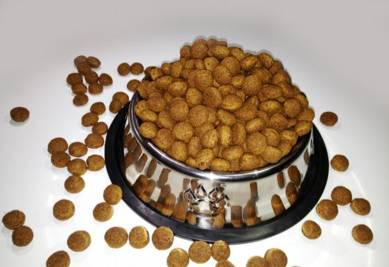 （科普就科普，为什么一言不合就撒狗粮T-T）