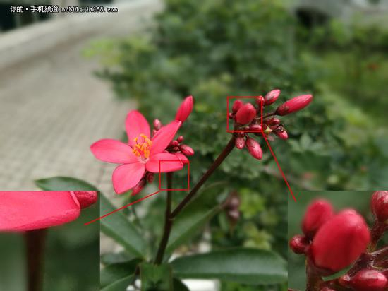 努比亚Z17mini虚化样张