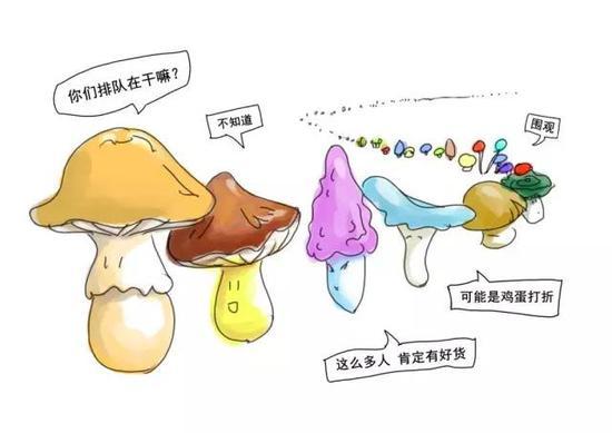 蘑菇家族究竟有多庞大？看一下这个阵仗就知道了