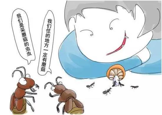吃蘑菇的虫虫