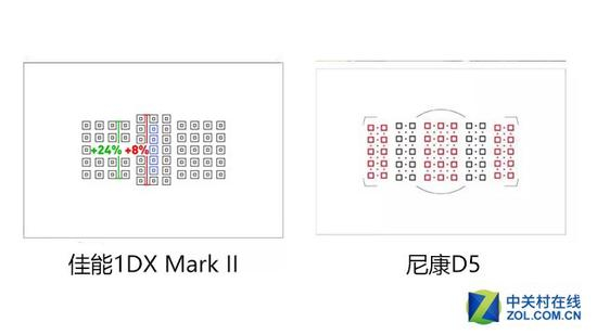 佳能1DX2和尼康D5的对焦示意图