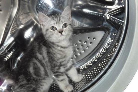 　　滚筒借助重力来摔打衣物