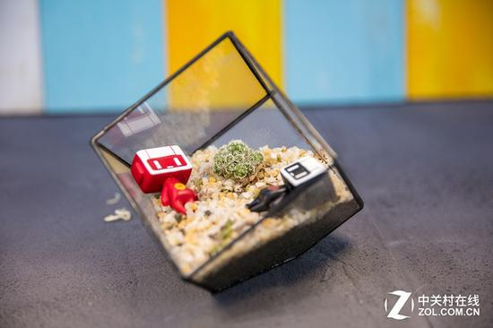 70mm的焦段物体是正常形状