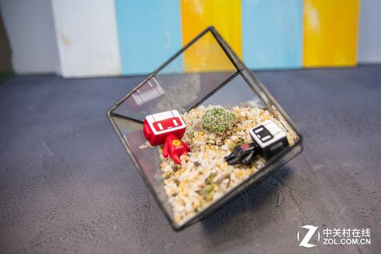 24mm的焦段物体变形严重