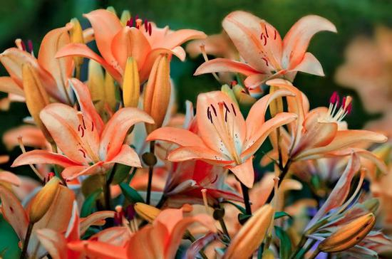 佳能EOS&nbsp;M6样张