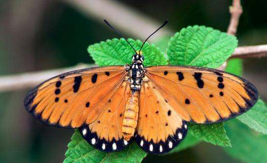 佳能EOS&nbsp;M6样张