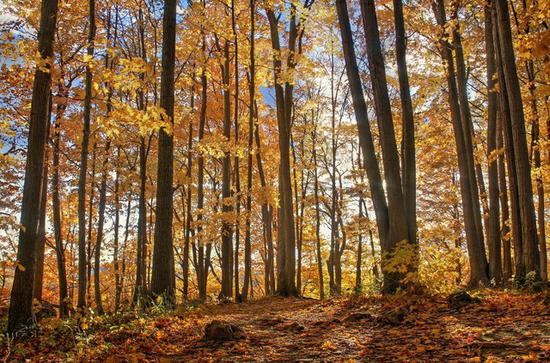 佳能EOS&nbsp;800D样张