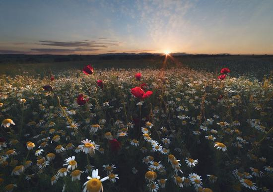 佳能EOS&nbsp;5D&nbsp;Mark&nbsp;IV样片