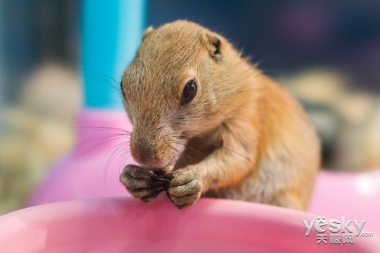 光圈：F5.6 快门：1/50 ISO：2000