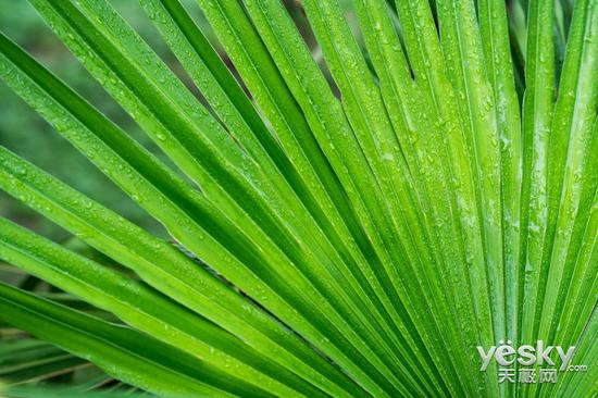 光圈：F7.1 快门：1/60 ISO：250