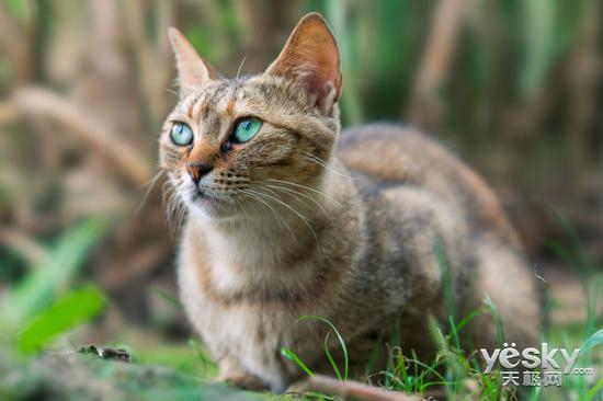 光圈：F5.6 快门：1/60 ISO：640