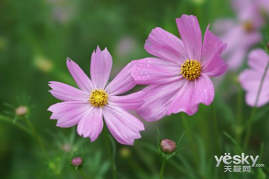 光圈：F5.6 快门：1/100 ISO：100