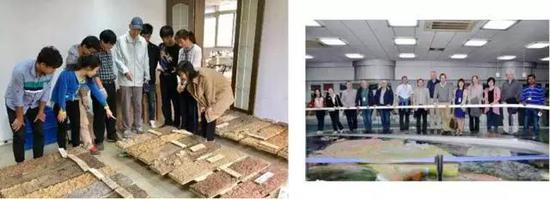 &nbsp;土壤学家在土壤整段标本前分享土壤学知识（左）；中外专家参观土壤标本馆（右）