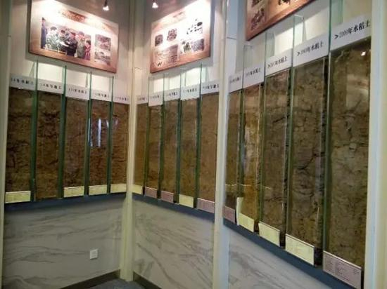 &nbsp;中国科学院南京土壤研究所土壤标本馆内展出的不同时间序列水稻土标本