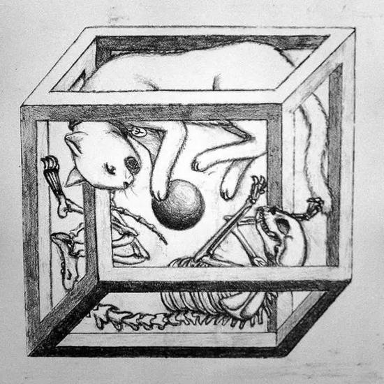 &nbsp;生与死的物理：如果猫的生死取决于一个量子事件是否发生，那么这只猫是否可以处于生与死的叠加态？（图片来源：Jie Qi / Flickr）