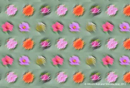 除了分析错觉，新井夫妇还会创造错觉图像。他们对一张看起来普通乏味的图像作细微的改变，上色后形成对比，最后迷惑我们的大脑。