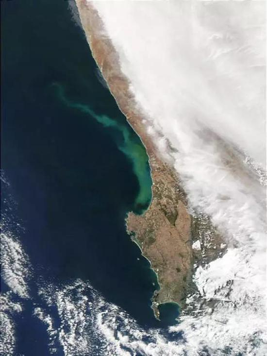 &nbsp;南非西海岸。图片来源：Jeff Schmaltz， MODIS Rapid Response Team， NASA/GSFC
