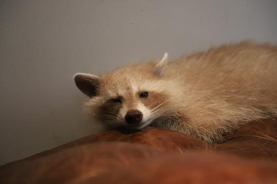 佳能EOS&nbsp;6D&nbsp;II高感样片