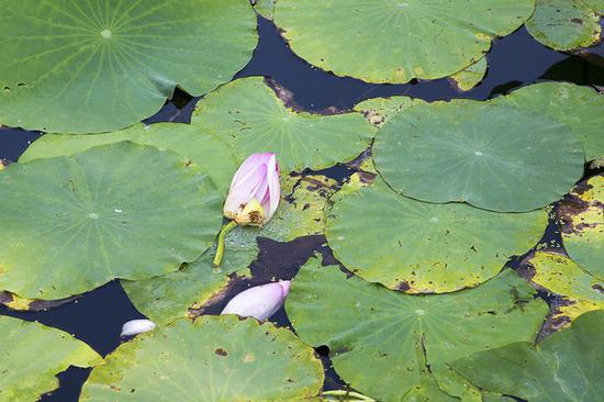 佳能EOS&nbsp;6D&nbsp;II后期样片