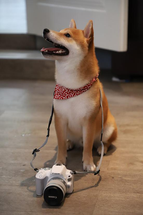 佳能EOS&nbsp;6D&nbsp;II高感样片