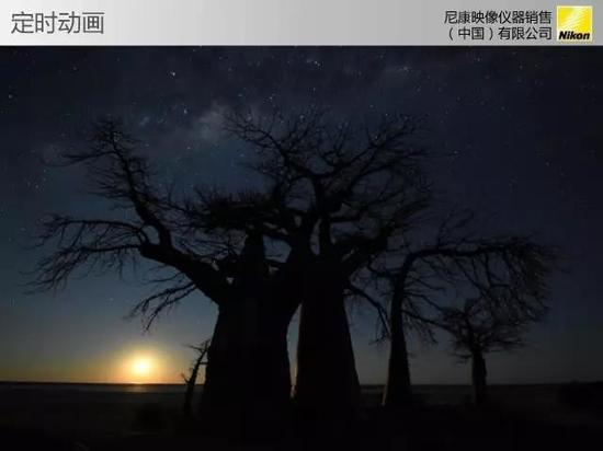 官方视频里有，不用多说，展现的自然是高感