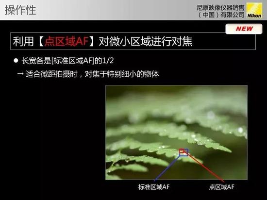 这个点区域AF功能相当实用