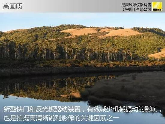 显而易见，D850改进了快门和反光板设计，目的是为了减少机震