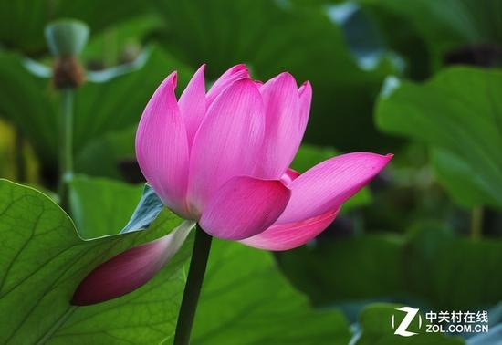 色彩还原能力出众