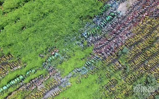 上海，8月清理前的鸿兴路单车坟场，图自东方ic&nbsp;