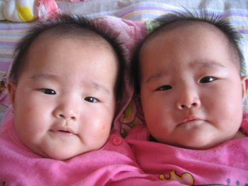 双胞胎表示很尴尬（图片来自中国早教网）