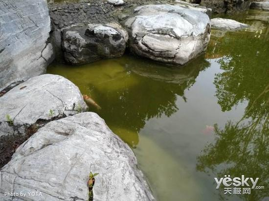 原片，点击100%放大