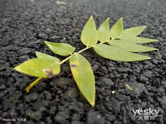 原片，点击100%放大