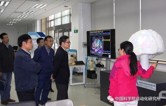 参观脑图谱研究成果