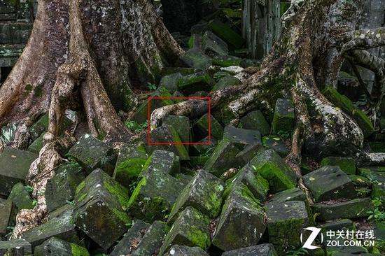 ISO 1600下画质截图（图像为RAW文件，经过曝光调整，但无降噪）